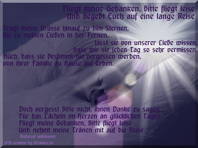 ja1vdufauh5.jpg