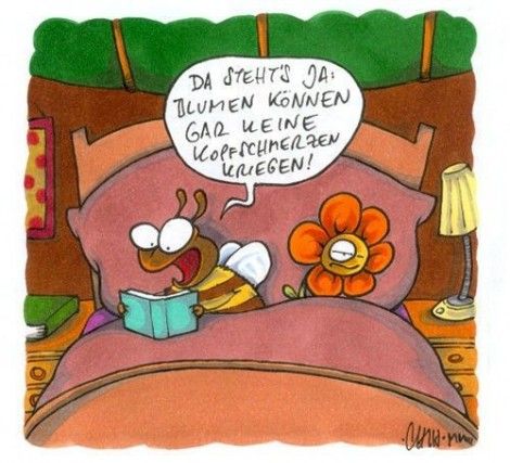 ext. Bild