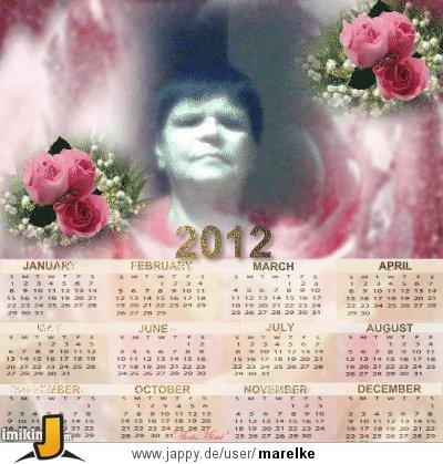 ext. Bild