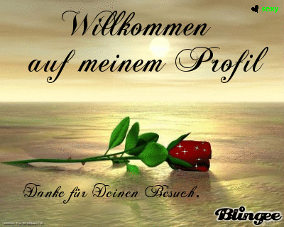 ext. Bild