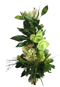 jjeh5opdpmm - jjeh5opdpmm