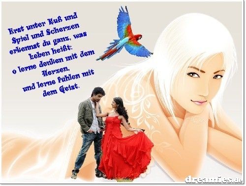 ext. Bild