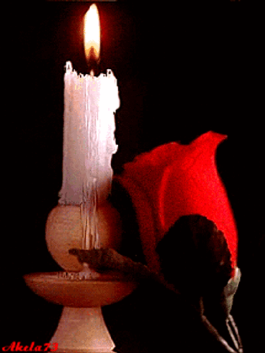 G83mi5dbrl0 Gif 375 500 Beautiful Candles Candles Shell Candles