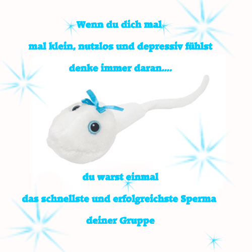 ext. Bild