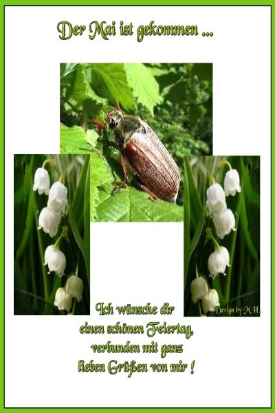 An den Beitrag angehängtes Bild: https://img24.dreamies.de/img/260/b/f215uaitfsp.jpg