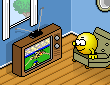 [​IMG]