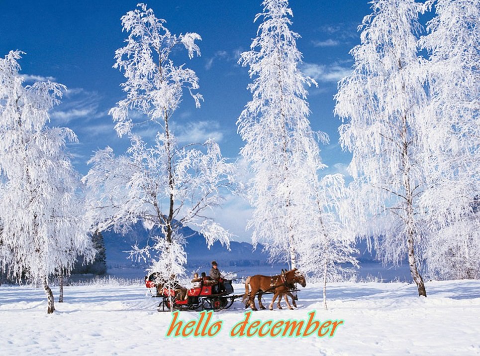 hello december - Page 2 Ejhyaey7x2m