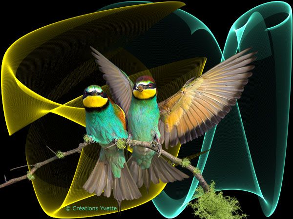 panick正在做什麼?